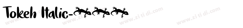 Tokeh Italic字体转换